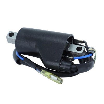 Bobine allumage adaptable 12V - 2 cosses pour Suzuki 125 Van Van 2003-2015, 125 Burgman 2007-2014, 800 VL Intruder 2001-2013, 800 VZ Marauder 1997-2004