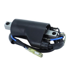 Bobine allumage adaptable 12V - 2 cosses pour Suzuki 125 Van Van 2003-2015, 125 Burgman 2007-2014, 800 VL Intruder 2001-2013, 800 VZ Marauder 1997-2004