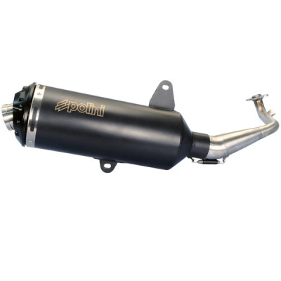 Pot Polini homologué CE 190.0049 pour maxi-scooter SYM 125 GTS i EVO 2006-2007, Joymax 2006-2007