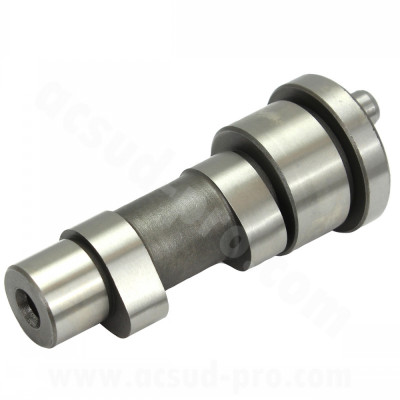 Arbre à came TNT complet pour maxi-scooter, adapté Piaggio Leader 4T 125-150cc, Vespa ET4/LX/LXV/S (OEM 8459325 - 8459305)