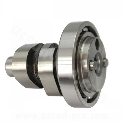 Arbre à came TNT complet adapt. YAMAHA XMAX / YZF-R 125cc (roulement NTN) OEM 1B9-WE211-0100