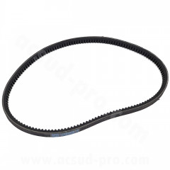 Courroie crantée Gates 806 X 14 X 8 pour mobylette MBK AV7 / AV10
