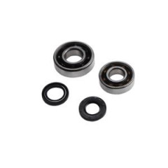 Kit roulements adaptable 6203 C3 + 6204 C3 + joints spi pour Peugeot 103