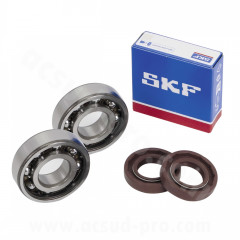 Kit roulements adaptable 6204 TN9 C4 + joints spi pour mécaboite Derbi Senda / GPR / Gilera 50 SMT / RCR (moteur Euro 2 / Euro 3)
