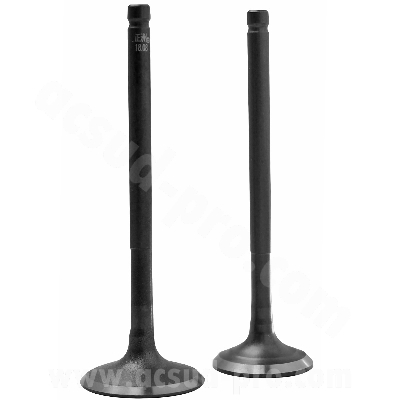 Soupapes TNT ADAPT. (OEM 14711-KCW-000 + 14721-KCW-000) pour Honda SH / S-Wing / Dylan / Pantheon 125cc 2003-2010