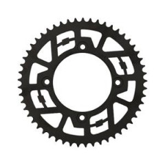 Couronne Doppler 09 acier 428 53 dents D100 4F pour 50 à boîte Beta Factory/RR SM après 2005