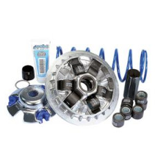 Variateur maxi-scooter Polini Hi-Speed 300/350 KAWASAKI J300/Downtown 350i