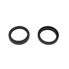 Joints spi fourche Athena 48x59x10.5 (x2)