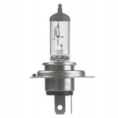 Lampe/ampoule 12V 35/35W (PX43T) adaptable