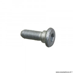 Vis BTR Piaggio 8x25 fixation disque de frein arrière origine pour moto-Guzzi - GU30611460