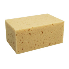 Éponge à laver Arexons super absorbante
