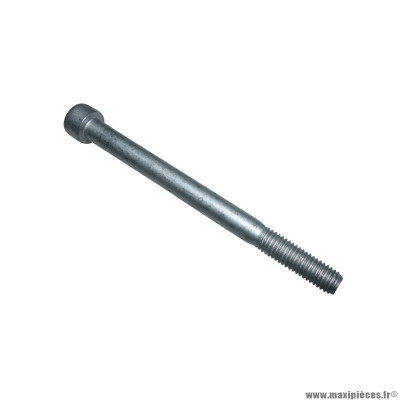Vis BTR Piaggio 8x100 - AP8150388
