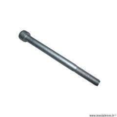 Vis BTR Piaggio 8x100 - AP8150388