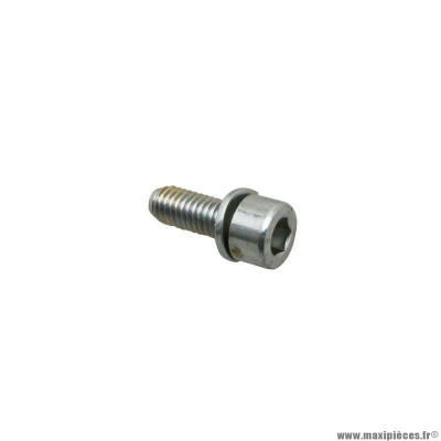 Vis BTR Piaggio 6x16 - Référence 00D05910081