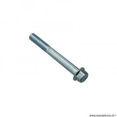 Vis bride th Piaggio 6x50 - 00H03000091