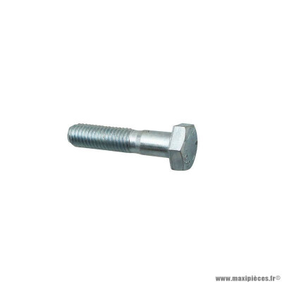 Vis Piaggio (10x45) - Référence 015578