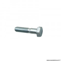 Vis Piaggio (10x45) - Référence 015578
