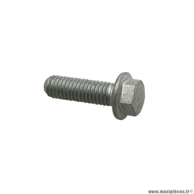 Vis bride th Piaggio (6x20) -018639-