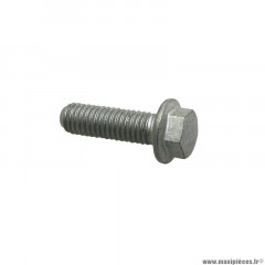 Vis bride th Piaggio (6x20) -018639-