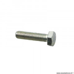 Vis Piaggio 6x25 origine -031092-