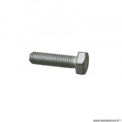 Vis Piaggio (8x30) origine, référence -031122- pour toute la gamme