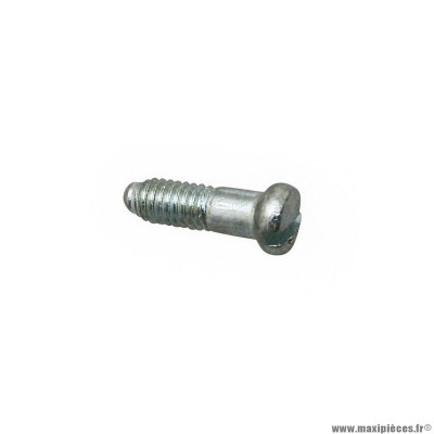 Vis pour câble de gaz Piaggio origine commune -123391-