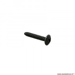 Vis autotaraudeuse Piaggio (4,2x25) référence -259372-