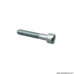 Vis BTR Piaggio 6x35 -323990-