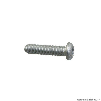 Vis Torx Piaggio 8x30 Tête bombée - Réf: 599208