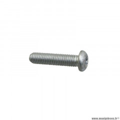 Vis Torx Piaggio 8x30 Tête bombée - Réf: 599208