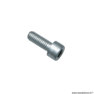 Vis BTR Piaggio 6x16 - AP8150137