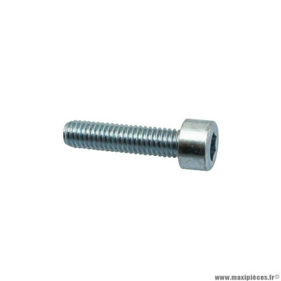 Vis BTR Piaggio 6x25 - AP8150165