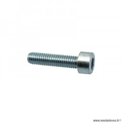 Vis BTR Piaggio 6x25 - AP8150165