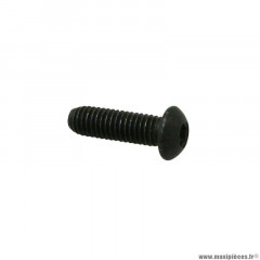 Vis Piaggio 6x20 origine -ap8152137-