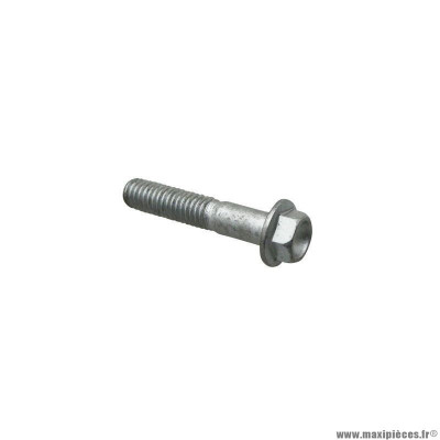 Vis bride th Piaggio (6x30) - AP8152281