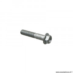 Vis bride th Piaggio (6x30) - AP8152281