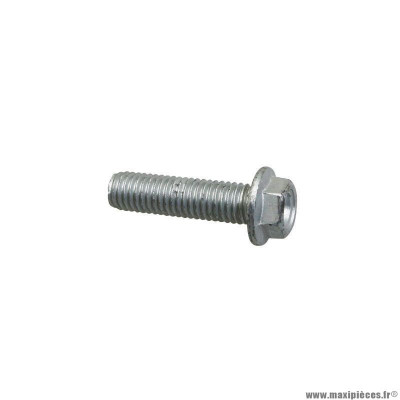 Vis bride th Piaggio (8x30) référence AP8152288