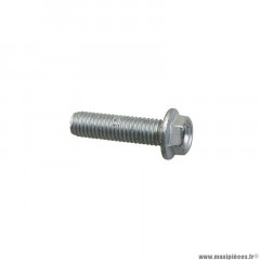 Vis bride th Piaggio (8x30) référence AP8152288