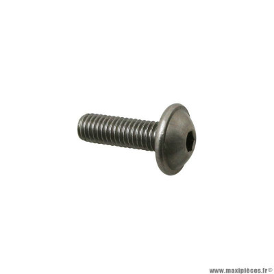 Vis bride BTR Piaggio (5x16) - AP8152298