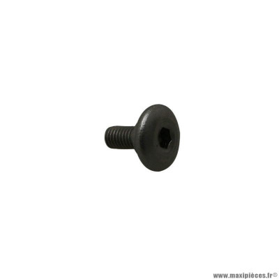 Vis BTR Piaggio Tête Bombée (5x9) - AP8152339 - Commun à toute la gamme moto