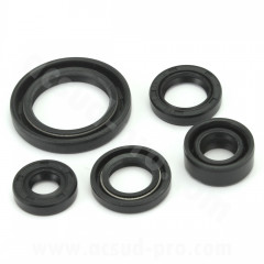 Joints spi TNT Pochette de 5 joints 27x40x6.15, 25x5.16, 24x5, 12x22x9, 10x20x5 pour Suzuki GN125 / GS125