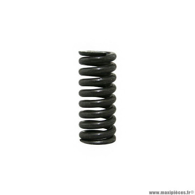 Ressort de pignon multiple Piaggio origine 125 Vespa PX (078853)