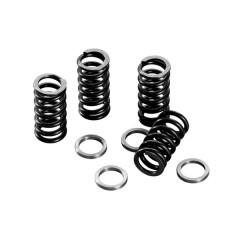 Ressort disque d'embrayage Polini renforcé 50 à boite Minarelli AM6 (jeu de 4) (228.0105)