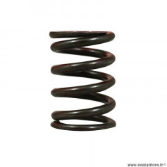 Ressort embrayage Piaggio GU13084100 pour moto-guzzi 1100 Sport, California, Griso, Breva, 850 Breva, Norge, V10, V11, Strada, Le-Mans, Bellagio