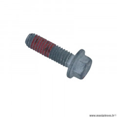 Vis frein filet PIAGGIO origine 2B004560 pour moto Gilera SMT, RCR après 2006 / Aprilia 50 SX, RX après 2006, RS4 après 2011 / Moto Guzzi 750 V7 après 2015, 850 V9 après 2017, 850 V85 après 2019, 1400 Eldorado après 2015