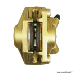 Etrier de frein arrière PIAGGIO origine SR 50 DITECH 2000-2007 (AP8213488)
