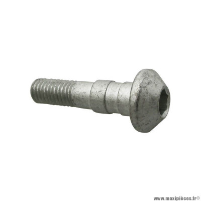 Pivot de frein PIAGGIO origine AP8121284 pour Aprilia 50-125 RS, Tuono, 125 AF1 Futura