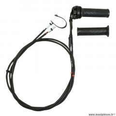 Poignée de gaz complète PIAGGIO origine 500 MP3 2014+ (CM087706)