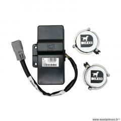 Système de son origine PIAGGIO OEM 605933M 300-500 MP3 2014+