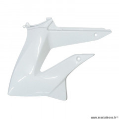 Déflecteur réservoir gauche PIAGGIO blanc 50 SMT, RCR 2011+ (86692600W0B)